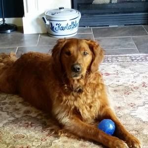 Meet your Posher, Kathy